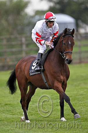 R6 - Baltray King 9th , Jockey J P Murtagh - FT8E0531-e