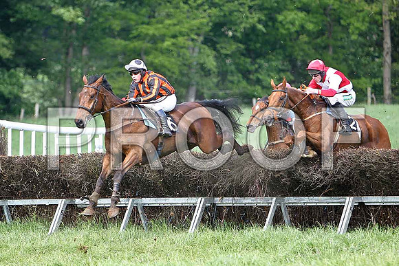 Fourth Race - Uasaka (2) 7th, Rider Derek O'Connor - CU2D9622-e
