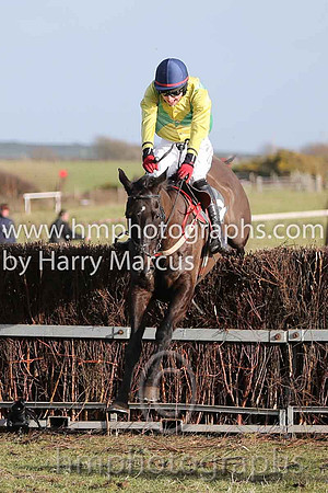 01 Mr Bolt  D H Lavery - Trainer : Sean McParlan, Black and tan check