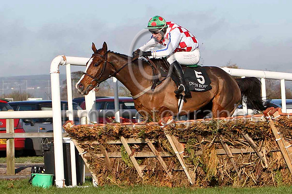 Selection Box - Winner , Jockey - E J O'Connell FT8E6884-e