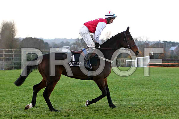 Mighty Massini - 5th - Jockey E J O'Connell - CU2D0788-e