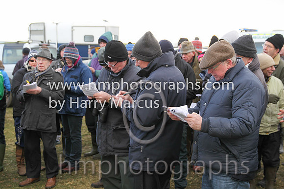 Spectators mark their cards at Tyrella