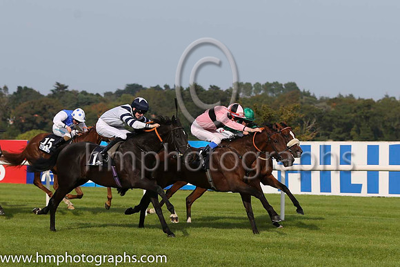 01 Toe The Line and F M Berry - - 01st (9 ,pink, black hoop ) Trainer - J E Keily