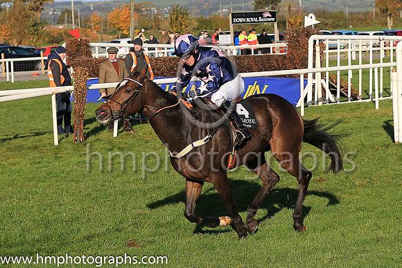 03rd London Prize and N D Fehily ( 4 , dark blue, pink triple diamond ) Trainer - Ian Williams , Owner - Mrs Margaret Forsyth