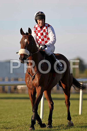Financial Regulator PU, Jockey P Carberry - FT8E1149-e