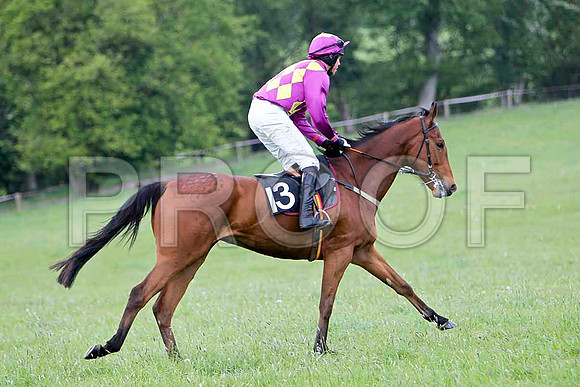 Mulligan's Man , Fell, Jockey - D L Queally - FT8E2270-e