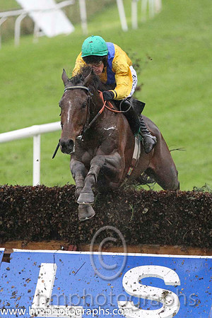 02 Old supporter & B Hayes - 2nd (1, yellow, royal blue chevron) - FT8E9104-15