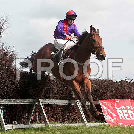 Cilliseal , 2nd, Jockey - M J O'Hare - CU2D4632-e