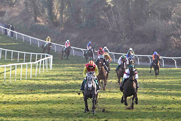 Hughies Grey (Red & Yellow) Winner, Jockey M Darcy & Posh Bird 2nd , Jockey K M Donoghue - FT8E0511-e