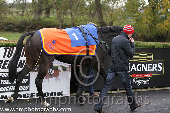 01 Gilt Shadow & Mr S Crawford - winner (1, orange, royal blue star) - FT8E0236-57