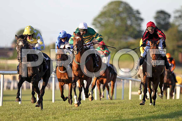 The Grey Express 2nd, Jewel in the Crown 3rd & Henro Boy 4th - FT8E1201-e2