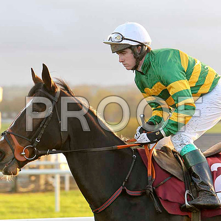 Raise You Ten - 6th - Jockey Mr P Roche - CU2D0840-e