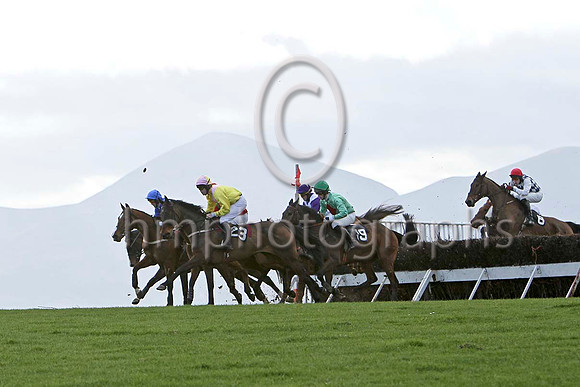 Lord Baltimore (23) & D J Foster - 7th ,  Gee Enne Two (19) & P J Flood - 4th &  Anzinger (6) & W Thompson (6) 2nd - FT8E9262-e