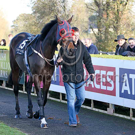 Western Island - PU, JOckey N P Madden - FT8E7154-e