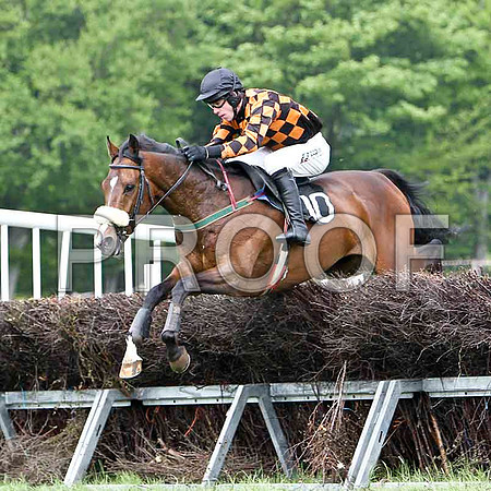 Mister Philson - Winner, Jockey Derek O'Connor - FT8E2493-e