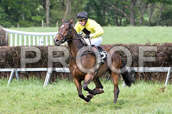 Fifth Race Div 2 - Top Gal (39) 4th, Rider M J Henry - CU2D9703-e