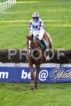 Adrioneo , Jockey Ben G Crawford - PU - CU2D9442-e