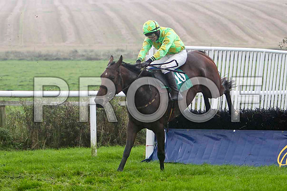 Tulla Emerald , 6th - Jockey D J Bates -FT8E5241-e