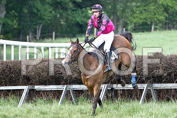 Fifth Race Div 2 - Muireads Girl (34) 5th, Rider J J Gault - CU2D9735-e