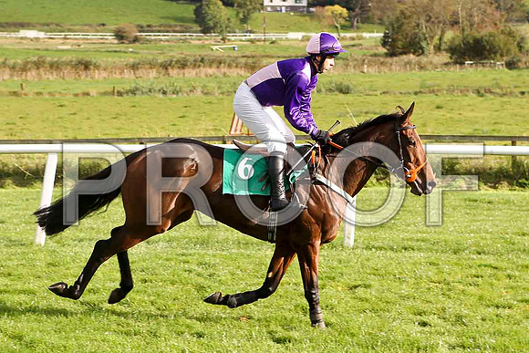 Allys Bubble , Jockey T J Doyle - 2nd - FT8E4419-e