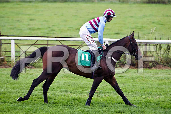 Maddoxtown - 4th , Jockey D N Russell  - FT8E3912-e