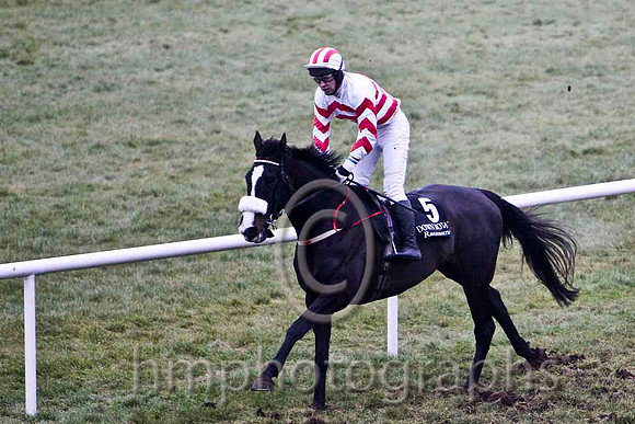 Spiker the Hiker 5th, Jockey Mr N T Slevin - CU2D2187-e