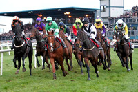 2010/11/06th - Race 7  - Down Royal - The Mirror (Pro/am) Flat Race of 8,500 Euro