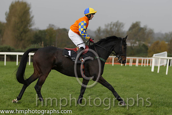 01 Gilt Shadow & Mr S Crawford - winner (1, orange, royal blue star) - FT8E0260-77