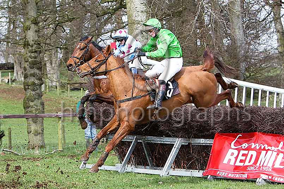 Third Race - Gris Lord Green 4th Div 1, Light Switch Maroon Diamonds 7th Div 1 - CU2D7095-e