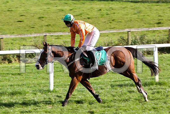 Time Travel , Jockey M Darcy - PU - CU2D9336-e