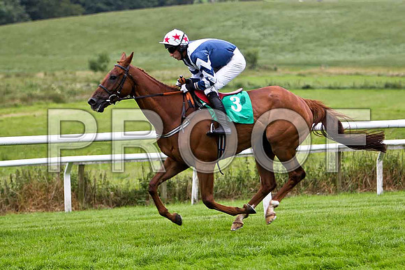 Nobetter Bauchaill 14th, Jockey E J O'Connell - CU2D0944-e