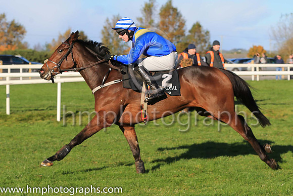 07th Auld Brig and M P Walsh ( 2 , royal blue, yellow sash ) Trainer - M Brassil , Owner - Promising Silver Syndicate