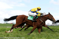 2014/04/26th - Race 2 County Down Hounds P2P at Loughbrickland