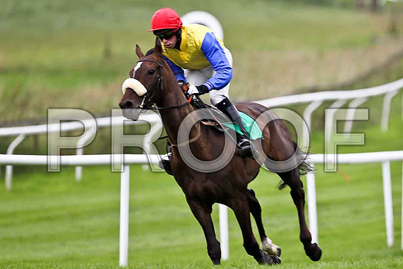 High Talk 5th, Jockey P D Kennedy- FT8E1742-e