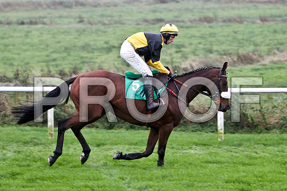 Knocklayde Euro , PU - Jockey E J O'Connell -FT8E5472-e