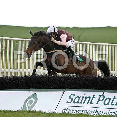 Bleakfield Lady , 6th, Jockey - R C Colgan - FT8E2916-e