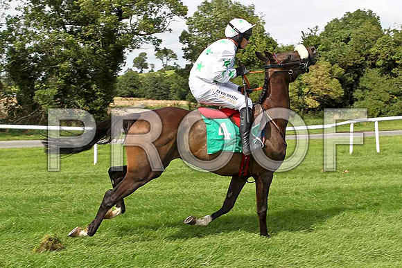 Hamalka 5th, Jockey P Carberry - FT8E2921e