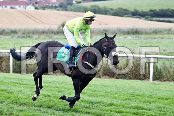 Ahead Ahead - 12th , Jockey D J Bates - FT8E3930-e