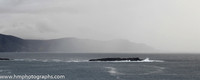 FT8E0665
