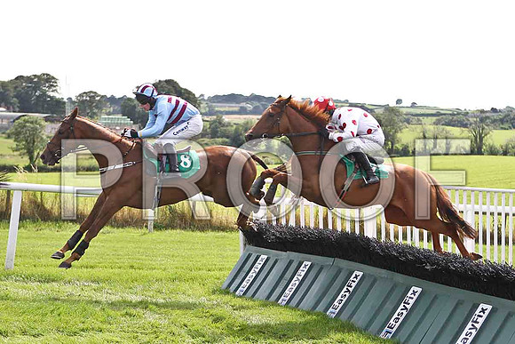 Time Machine 4th, Jockey A E Lynch & Surprise Vendor Fell, Jockey Mr B T O'Connell - FT8E2931-e