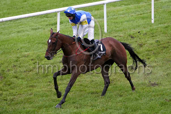Holy smokes & Mr C Motherway - 6th (7, royal blue, yellow star) - FT8E5494-e