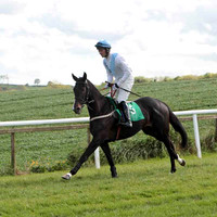 Seaneen Mac Ri , 6th, Jockey - Mr D A Fitzsimmons - CU2D9228-e