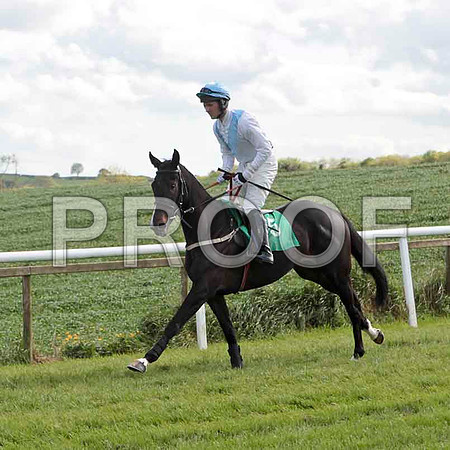 Seaneen Mac Ri , 6th, Jockey - Mr D A Fitzsimmons - CU2D9228-e