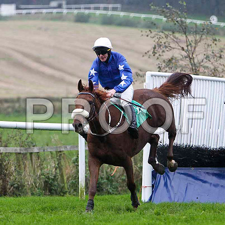 Castle Ranger , Winner - Jockey Mr M J O'Connor - FT8E5284-e