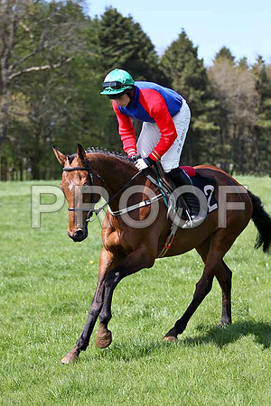 Glenariffe - 2nd, Jockey J J Codd - FT8E1983-et3