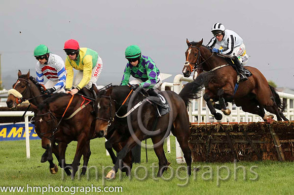 08 Enchanted Forest & R Walsh - 8th (4, white and red chevrons) - FT8E0266-3