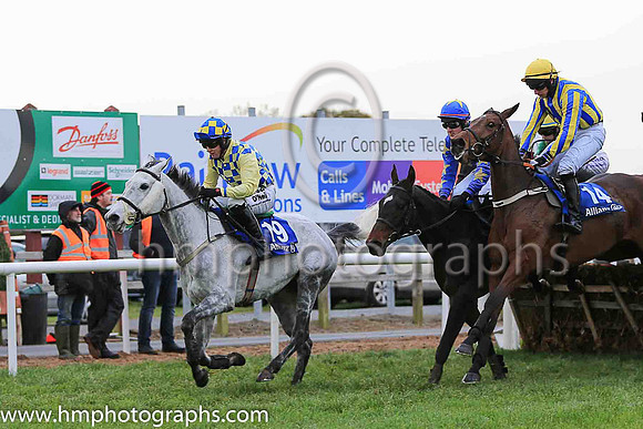 04th Degenerous and M J Bolger ( 14 , blue and yellow stripes ) Trainer - Mrs S Dawson , Owner - Dr J F Dawson