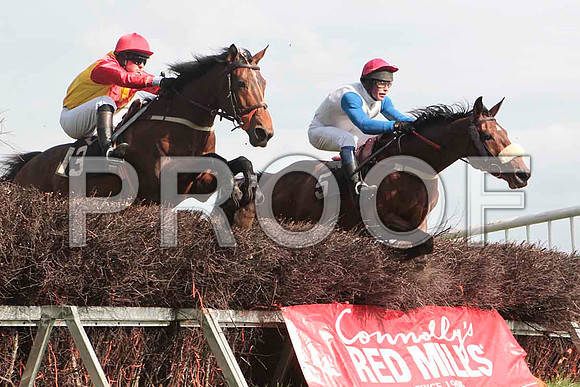 Pilgrams Run , PU, Jockey - J Cresswell & Clyde House , 8th, Jockey - P E Turley -CU2D4644-e