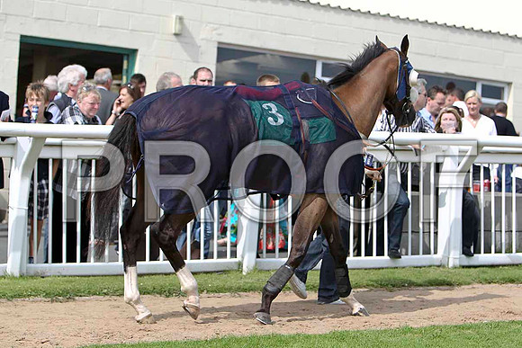 Almanyan  - Winner, Jockey K M Donoghue - CU2D1651-e