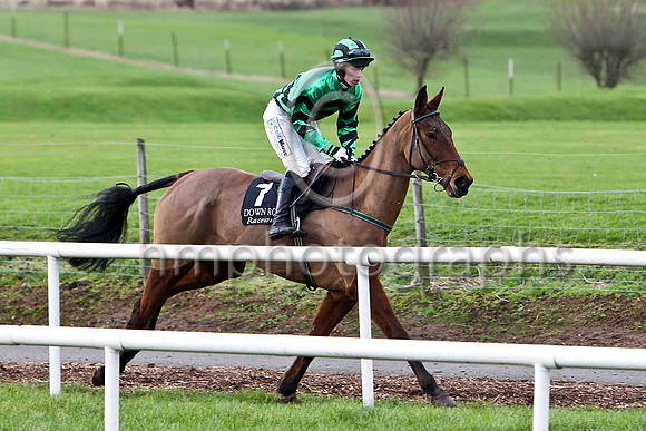 Ameretto Son & I J McCarthy - PU - FT8E9101-e